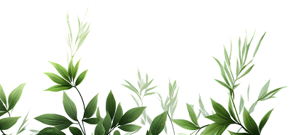 Mobile Footer Leaves Image